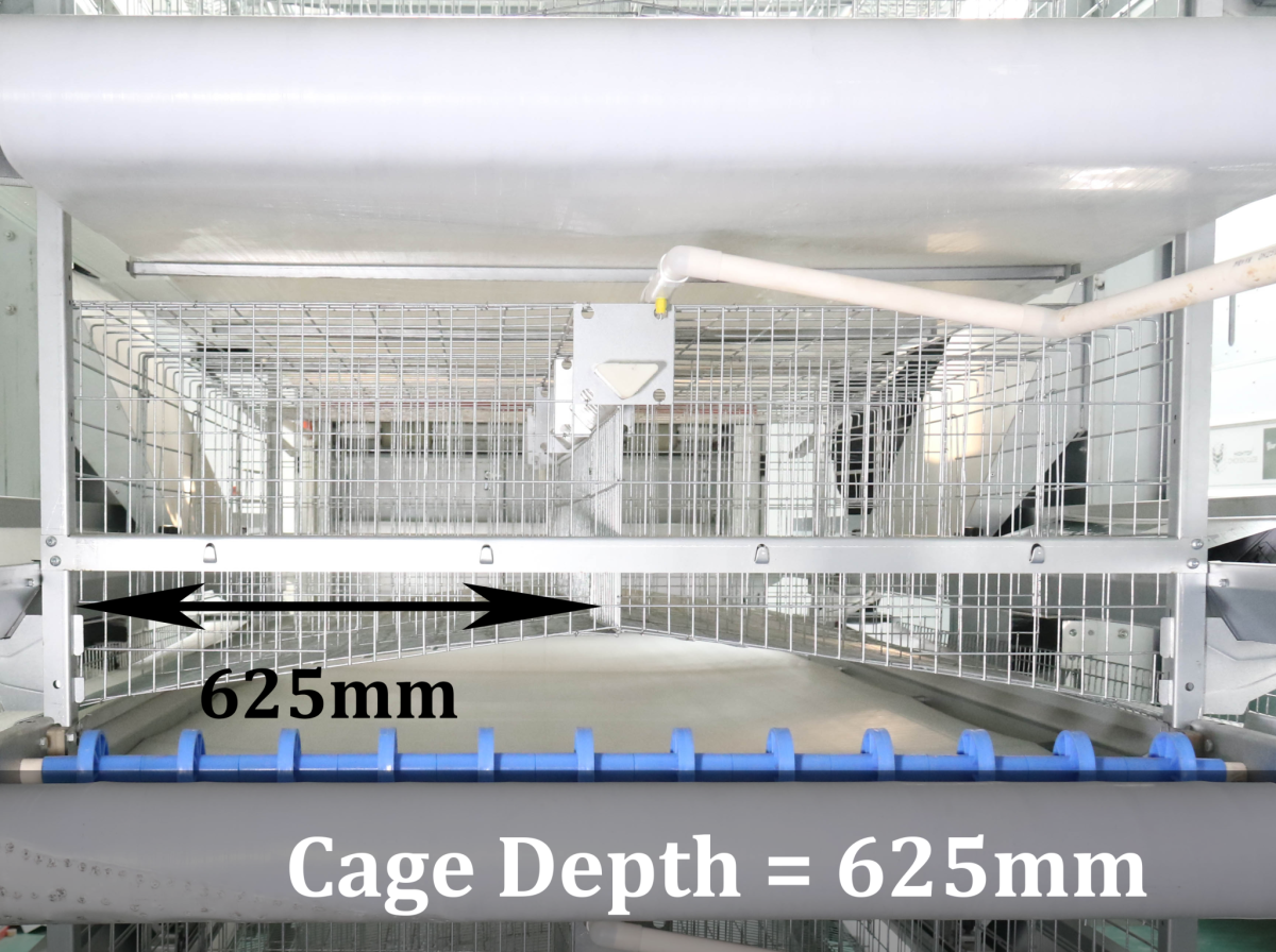 H Type Battery Cage Hightop Poultry Equipment