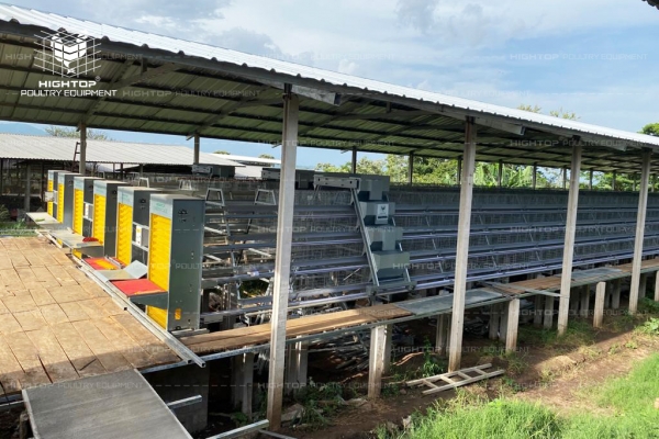 Automatic Poultry Farm In Philippines 2 600x400 