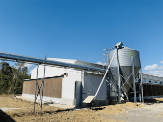 Laying hen cage house feeding tower