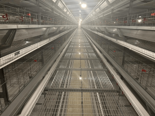 Super high-rise egg-laying cage rack