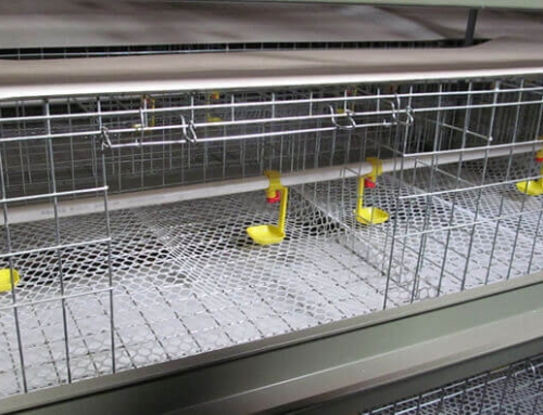 Commercial Rabbit Cages for Rabbit Farming