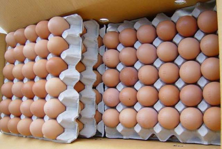 Thin-Shelled Chicken Eggs: Causes and Cure